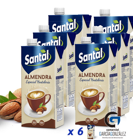 Bebida de Almendras Santal Pack 6 x 1Litro